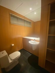 The Colonnade (D10), Condominium #337288161